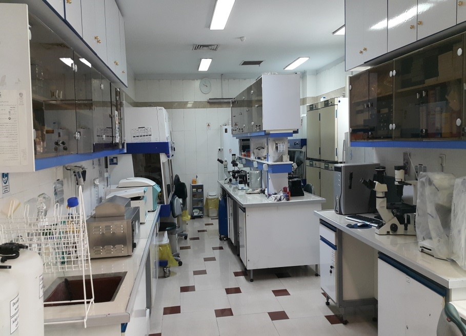 Adult Stem Cell Lab 1